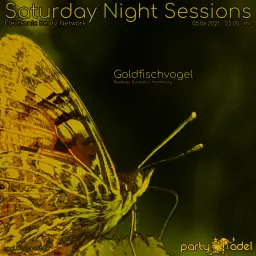 Goldfischvogel @ Saturday Night Sessions (05.06.2021)