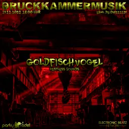 Goldfischvogel @ DruckkammerMusik (19.11.2021)