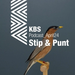 KBS Podcast 028: Stip & Punt