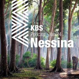 KBS Podcast 037: Nessina