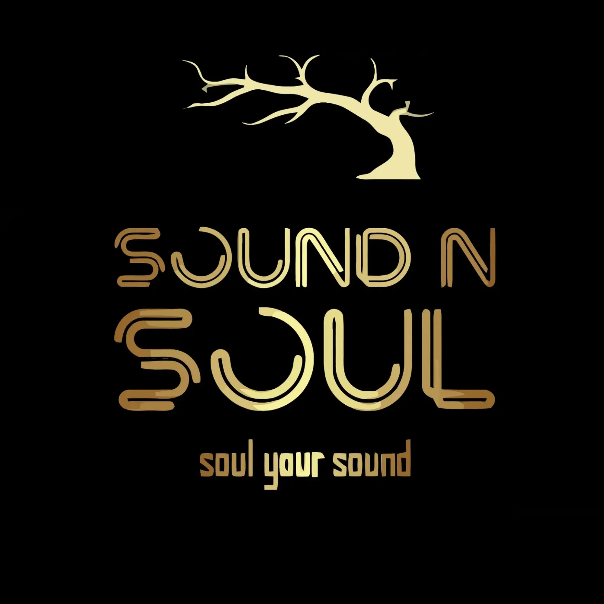 Sound n Soul Records