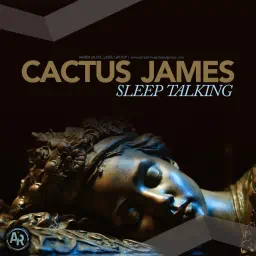 Sleep Talking 