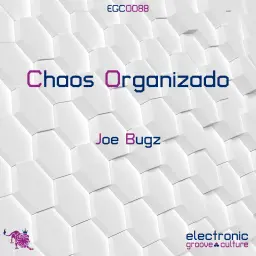 Chaos Organizado