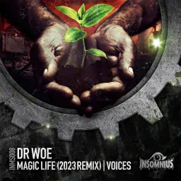Magic Life (2023 Remix) / Voices